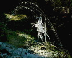 Ice formation