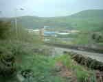 The Site